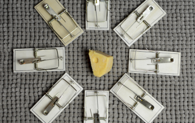 Cheese surrounded by mousetraps