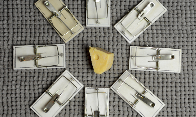 Cheese surrounded by mousetraps